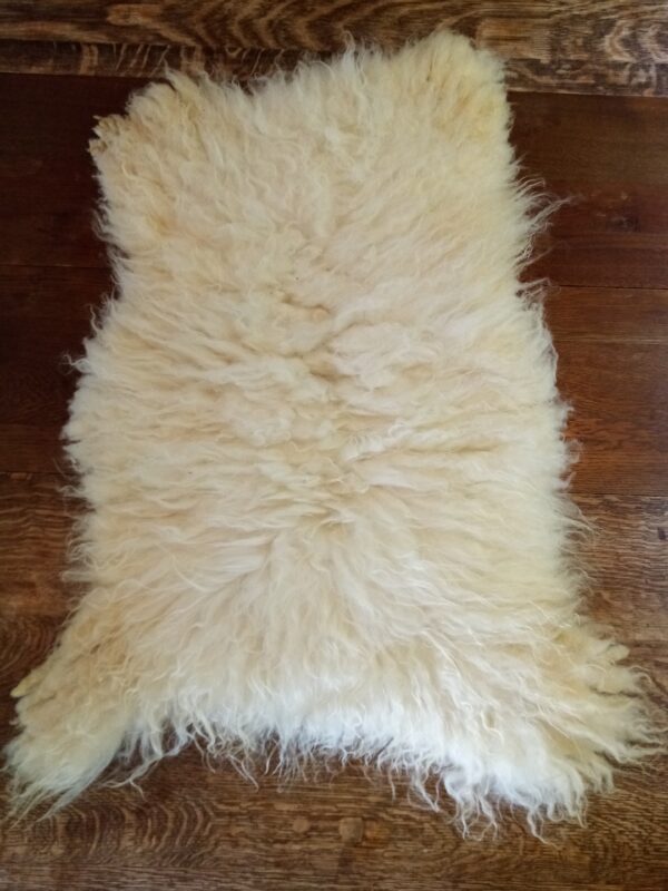 White lambskin, part Gotland, 28” x 22"