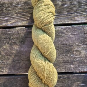 Sola Yarn - Dyed with Black-eyed Susan - 100 g skein